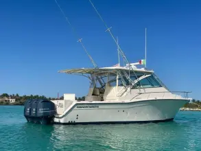 Thumbnail von Grady White Express 360  BONA VITA