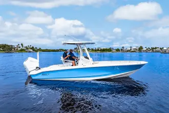 Thumbnail von Boston Whaler 250 Dauntless