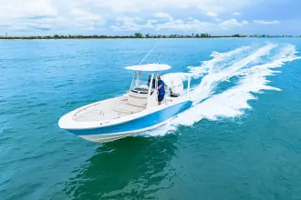 Thumbnail von Boston Whaler 250 Dauntless