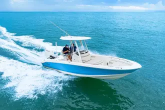 Thumbnail von Boston Whaler 250 Dauntless