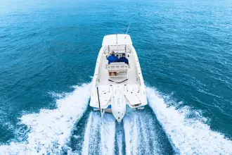 Thumbnail von Boston Whaler 250 Dauntless