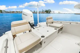 Thumbnail von Boston Whaler 250 Dauntless