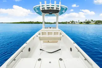 Thumbnail von Boston Whaler 250 Dauntless