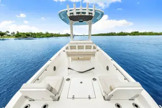 Thumbnail von Boston Whaler 250 Dauntless