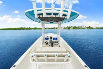 Thumbnail von Boston Whaler 250 Dauntless