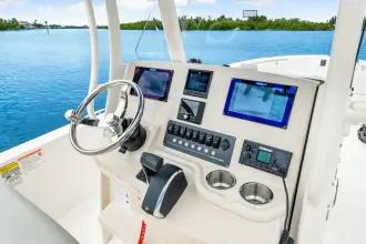 Thumbnail von Boston Whaler 250 Dauntless