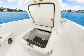 Thumbnail von Boston Whaler 250 Dauntless