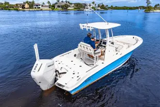 Thumbnail von Boston Whaler 250 Dauntless