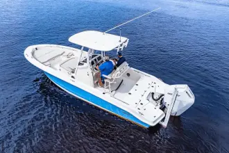 Thumbnail von Boston Whaler 250 Dauntless