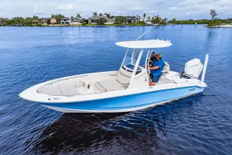 Thumbnail von Boston Whaler 250 Dauntless