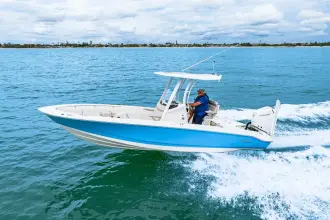 Thumbnail von Boston Whaler 250 Dauntless
