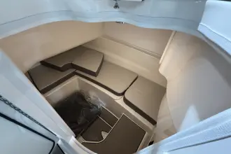 Thumbnail von Sea Ray SDX 230 Surf