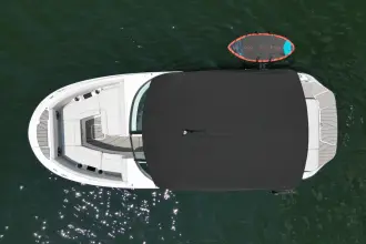 Thumbnail von Sea Ray SDX 230 Surf