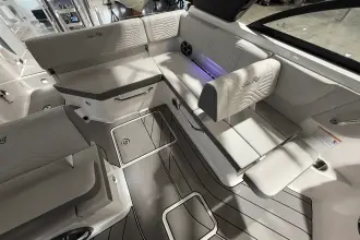 Thumbnail von Sea Ray SDX 230 Surf