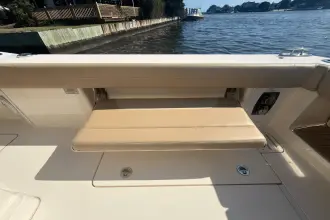 Thumbnail von Scout 380 LXF