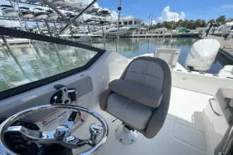 Thumbnail von Boston Whaler 210 Vantage