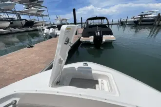 Thumbnail von Boston Whaler 210 Vantage