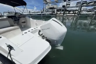 Thumbnail von Boston Whaler 210 Vantage