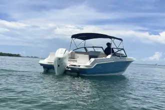 Thumbnail von Boston Whaler 210 Vantage
