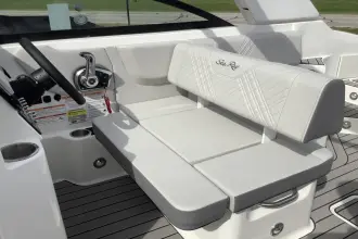 Thumbnail von Sea Ray SDX 250