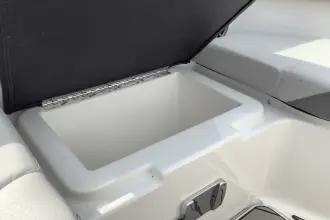 Thumbnail von Sea Ray SDX 250