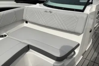 Thumbnail von Sea Ray SDX 250