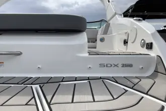 Thumbnail von Sea Ray SDX 250