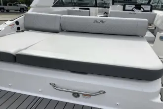Thumbnail von Sea Ray SDX 250