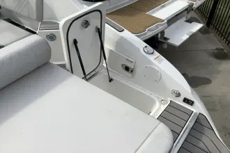 Thumbnail von Sea Ray SDX 250
