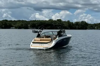 Thumbnail von Sea Ray SDX 230 Surf