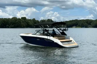 Thumbnail von Sea Ray SDX 230 Surf