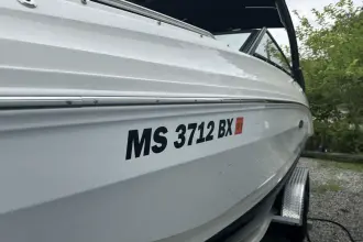Thumbnail von Sea Ray SDX 250 Outboard
