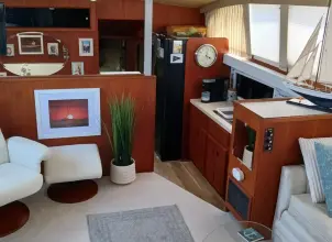 Thumbnail von Bertram 46 Flybridge Motor Yacht