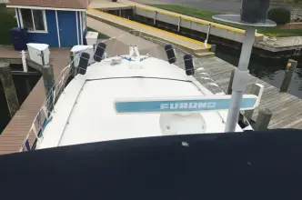 Thumbnail von Bertram 46 Flybridge Motor Yacht