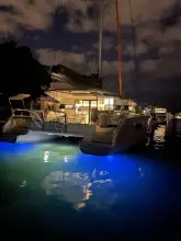 Thumbnail von Excess 15 Wine Down