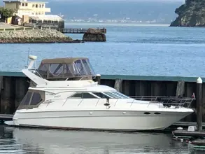 Thumbnail von Sea Ray 400 SEDAN BRIDGE