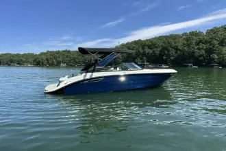 Thumbnail von Sea Ray SDX 230 Surf