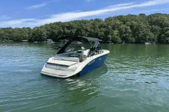 Thumbnail von Sea Ray SDX 230 Surf