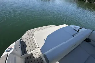 Thumbnail von Sea Ray SDX 230 Surf