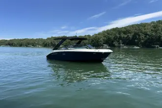 Thumbnail von Sea Ray SDX 230 Surf