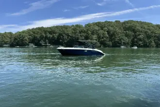 Thumbnail von Sea Ray SDX 230 Surf