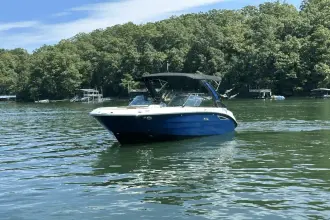 Thumbnail von Sea Ray SDX 230 Surf