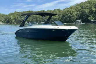 Thumbnail von Sea Ray SDX 230 Surf