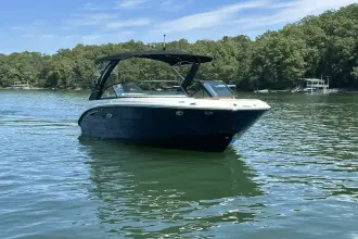 Thumbnail von Sea Ray SDX 230 Surf