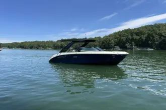 Thumbnail von Sea Ray SDX 230 Surf