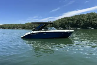 Thumbnail von Sea Ray SDX 230 Surf