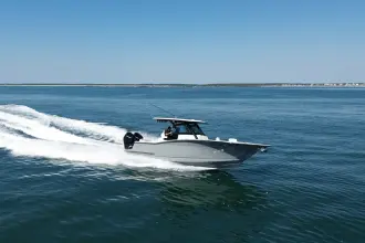 Thumbnail von Scout 305 LXF