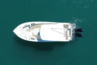 Thumbnail von Scout 305 LXF