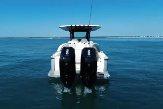 Thumbnail von Scout 305 LXF