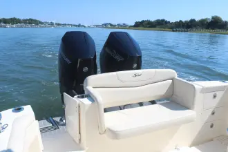 Thumbnail von Scout 305 LXF